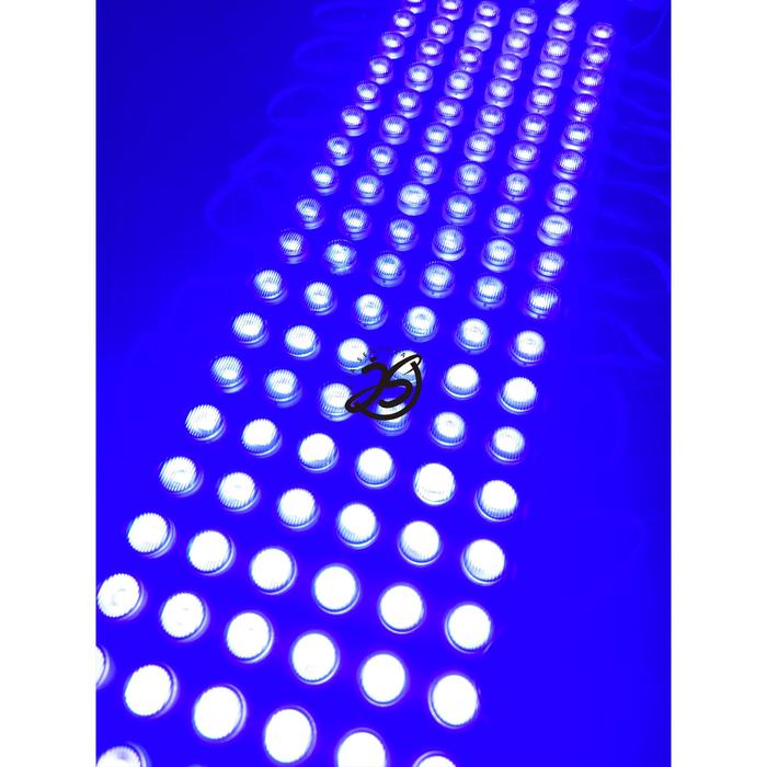 Gambar LAMPU LED MODUL 6 MATA DC 24V 6W LED MODULE INJECTION 6 watt LED TRUK - Biru, 12V dari JAYA SENTOSA! undefined Tokopedia