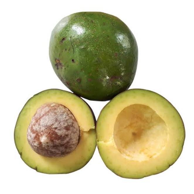 Gambar alpukat fresh dari Pick fresh tokopedia undefined Tokopedia