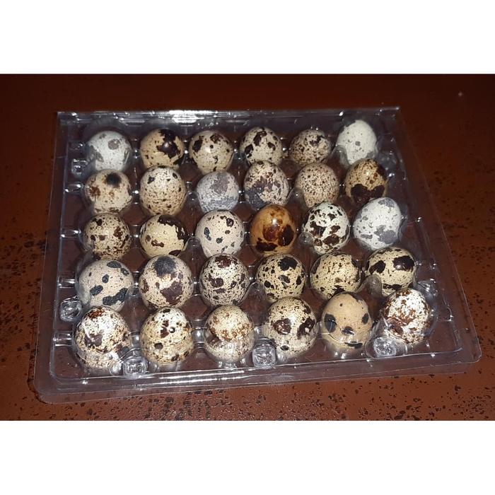 Jual Telur Puyuh Mentah Isi 30 Jakarta Selatan Dty 