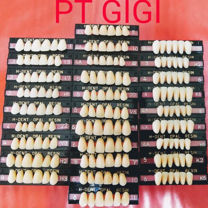 Gambar GIGI PALSU H-DENT OPAL ANTERIOR / DEPAN ATAS or BAWAH dari PONTIANAK TOKO GIGI undefined Tokopedia