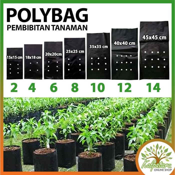 Jual Polybag Kantong Pembibitan Tanaman Koker Wadah Plastik Hitam Berkebun 8 Kota Tangerang Kalpataru Online Shop Tokopedia