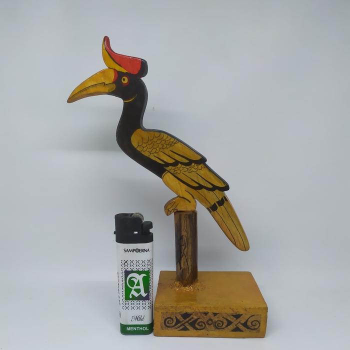 710 Gambar Burung Enggang HD