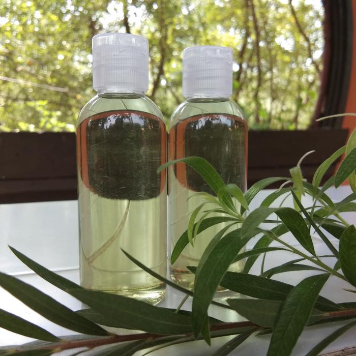 Gambar Minyak Kayu Putih Asli 30 ml Namlea Pulau buru Maluku Ambon dari rudychua undefined Tokopedia