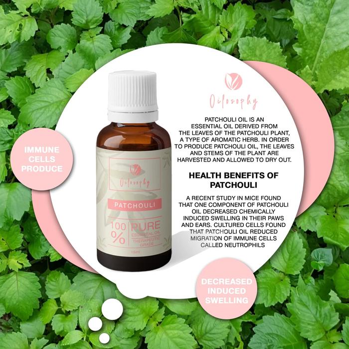 Patchouli Essential Oil Minyak Nilam Pure 100 Essential Oil