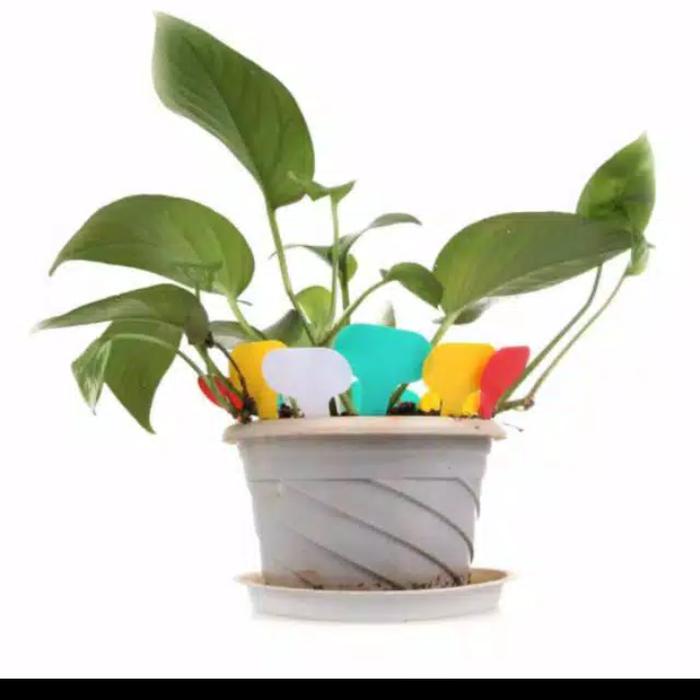 Gambar LABEL TANAMAN | LABEL PENANDA TANAMAN| PLANT LABEL / NAME - Putih dari Luwes Tani Kendal undefined Tokopedia