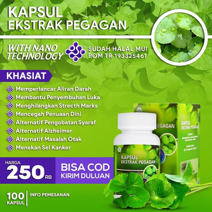 Jual Obat Herbal Epilepsi Gangguan Saraf Kejang Ekstrak Pegagan Kapsul Kota Medan Toko Herbal Melayu Deli Tokopedia