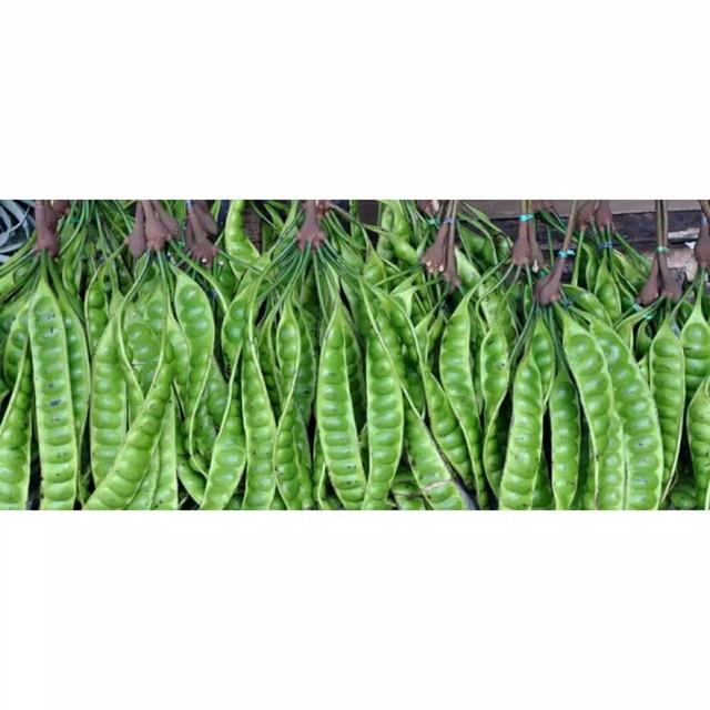 Gambar FreshPAK - Sayur Pete pertangkai / per papan / Petai / Pasar Andalan - 3 tangkai dari FreshPAK - Pasar Andalan Kita undefined Tokopedia