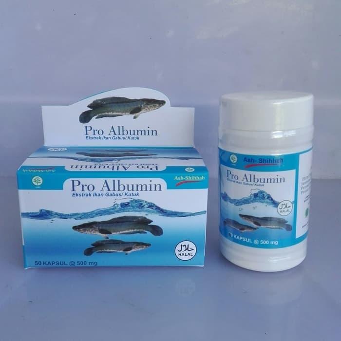 Gambar Pro Albumin Kapsul Kutuk / Ikan Gabus Sari ikan kutuk Asli Original dari CAKCIP Kalissambung undefined Tokopedia
