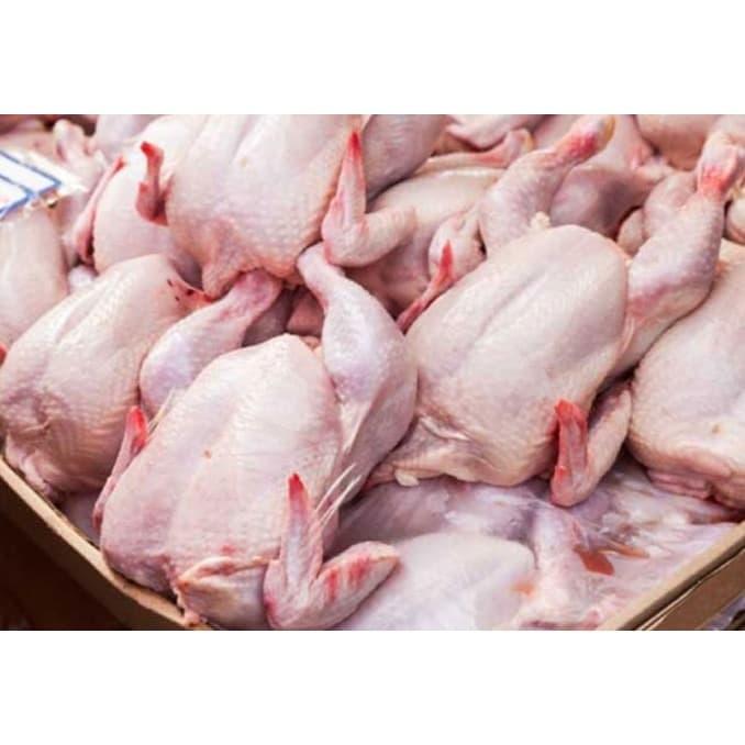 Gambar PASAR ONLINE TANGERANG - AYAM BOILER 1 EKOR - UTUH dari PASAR MINI JODEL TANGERANG undefined Tokopedia