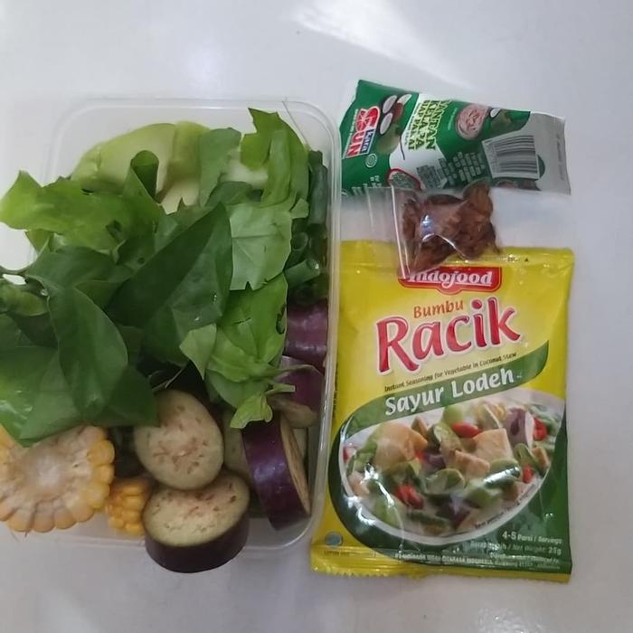 Jual Paket Sayur Lodeh Santan Kara Jakarta Selatan Waroeng Sayur Tokopedia