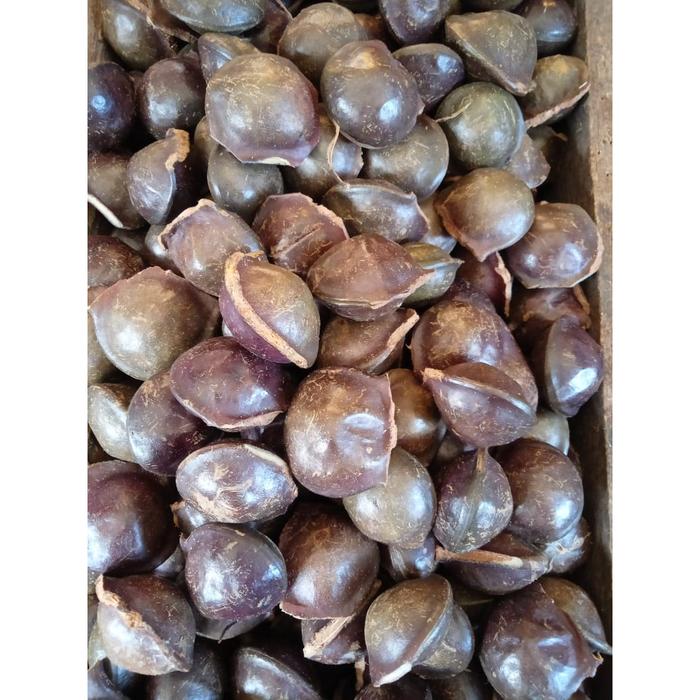 Buah Sayur Jengkol Jering Jengkol Padi 100 Gram - Jengkol