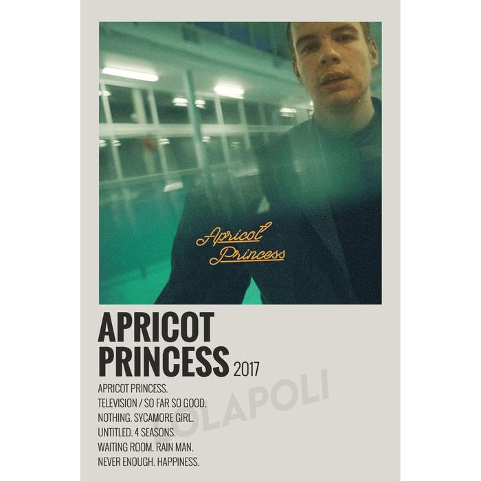 Gambar Poster Cover Album Apricot Princess - Rex Orange County dari Lolapoli undefined Tokopedia
