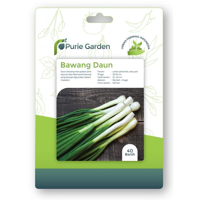 Gambar Bawang Daun- 40benih dari blueviolet WINDFLOWER undefined Tokopedia