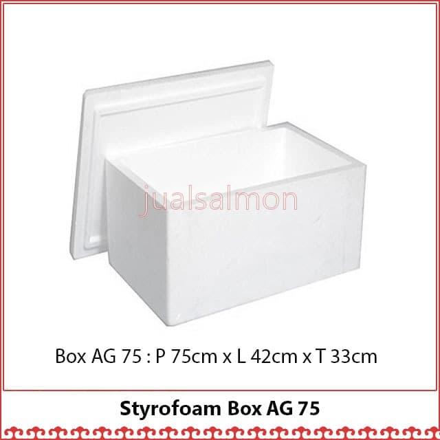 Gambar PROMO Styrofoam Box 75/Box Styrofoam Besar/Ice Box 30 kg/Box Ikan dari Jual Salmon Segar undefined Tokopedia