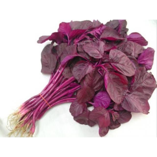 Gambar Sayur Bayem Ungu Sayuran Daun Bayam Ungu 500gr dari Aeeshastore undefined Tokopedia