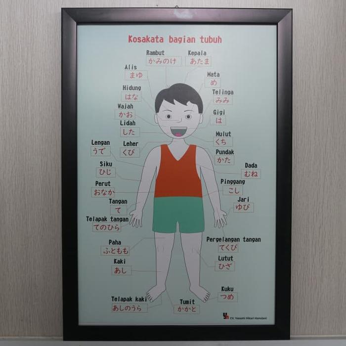Jual Poster Bahasa Jepang Kosakata Nama Bagian Tubuh Kab Karawang Toko Yasashi Tokopedia