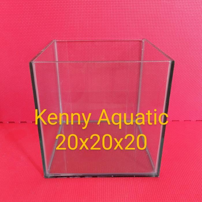 Gambar Soliter Breeding Ikan Hias Cupang / Guppy dari Kenny Aquatic undefined Tokopedia