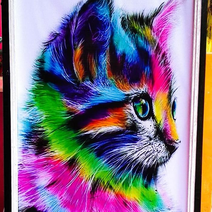 Gambar Kucing Warna Warni Englshf
