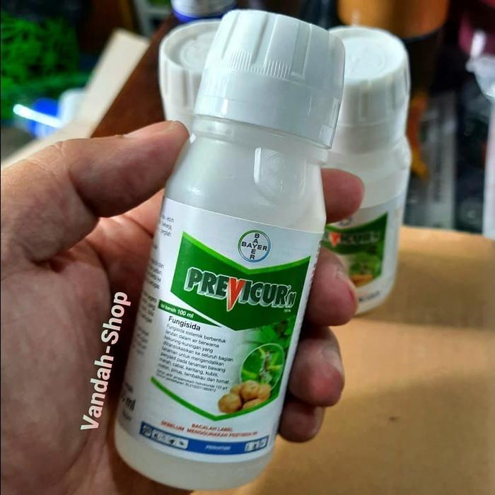 Jual Previcur N 722sl Fungisida Anti Busuk Akar Tanaman Aglaonema 100ml Kab Gresik Vandah Shop Tokopedia