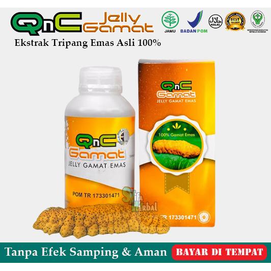 Jual Obat Gagal Ginjal Kronis Gagal Ginjal Stadium Akhir Qnc Jelly Gamat Jakarta Timur Syiffa Herbal 