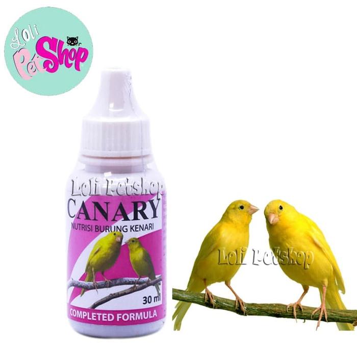 Cara Mengobati Jamur Pada Burung Kenari Paling Ampuh