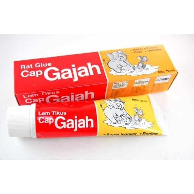 Gambar LEM PEREKAT TIKUS CAP GAJAH TUBE 100 ML / PERANGKAP TIKUS dari natz888 undefined Tokopedia