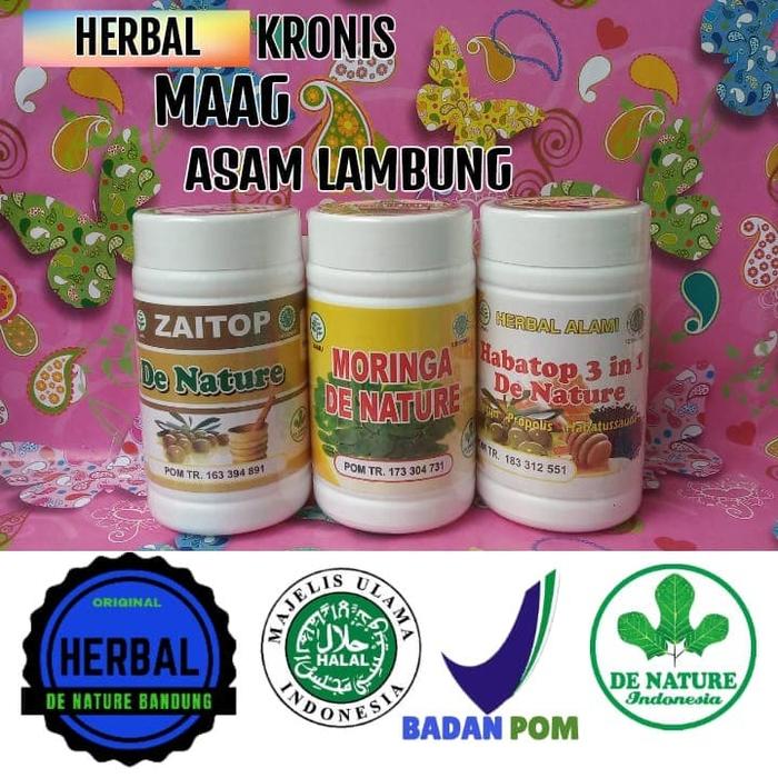Jual Obat Herbal Sakit Lambung Maag Magh Gerd Perut Kembung Dn Kota Bandung De Nature Bandung 1 Tokopedia