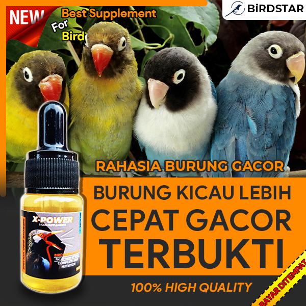 Obat Vitamin Burung Kicau Gacor Ebod Joss Shopee Indonesia