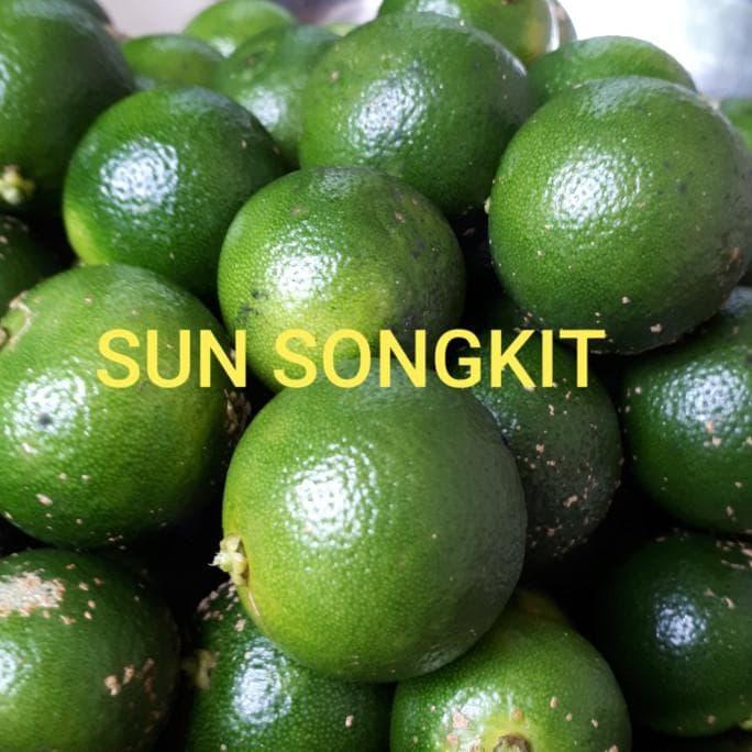 Gambar JERUK SONKIT MURAH / JERUK SONGKIT /JERUK KASTURI / LEMON CUI terjamin dari Woobin_store07 undefined Tokopedia