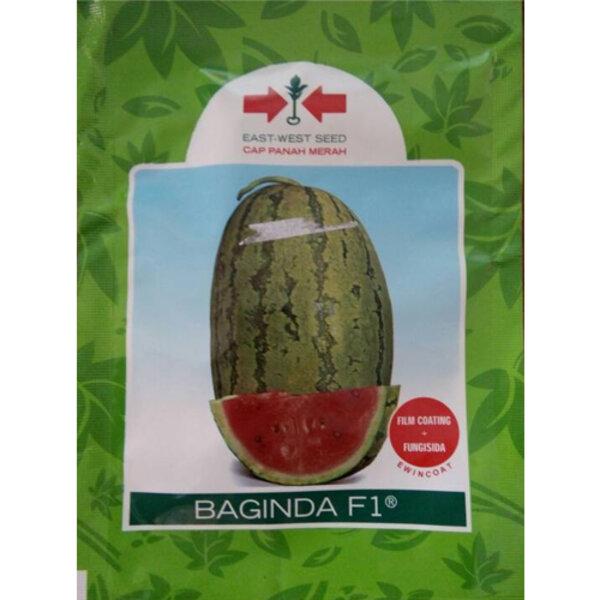 Gambar Benih Bibit Semangka Baginda F1 380 Biji Cap Panah Merah Buah Buahan dari BB Seed undefined Tokopedia