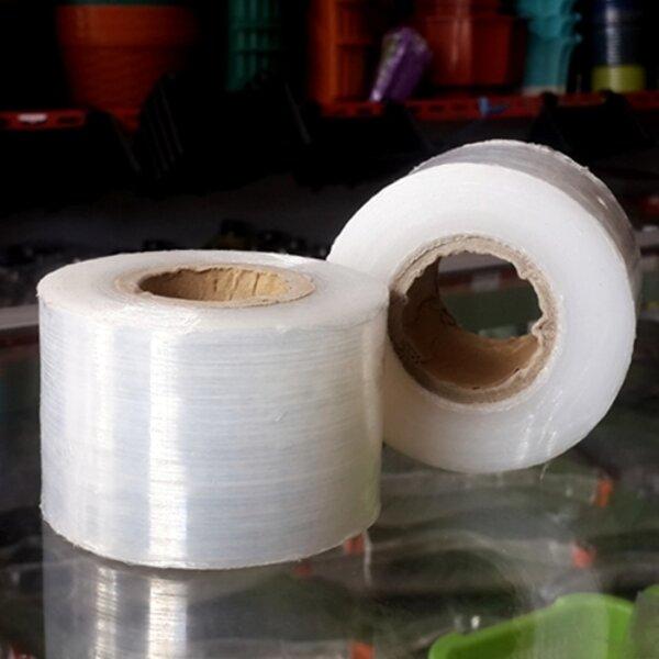 Gambar Grafting Tape 5 cm Plastik Okulasi Cangkok Sambung Tunas Pucuk Tanaman dari BB Seed undefined Tokopedia