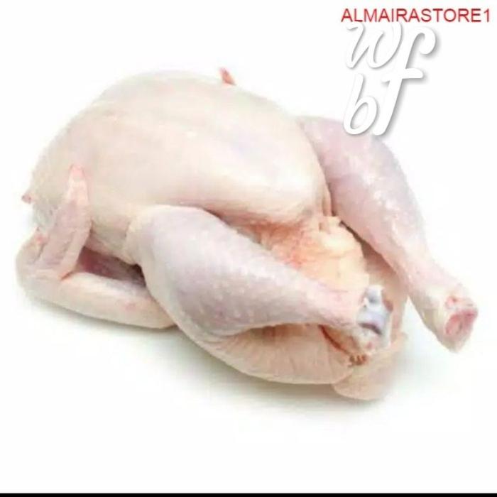 Gambar Ayam potong daging ayam fresh boiler 1 ekor 0,8-1kg - Wfbogor - 1 ekor, Potong 10 dari Almairastore2 undefined Tokopedia