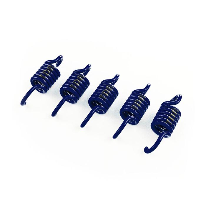 Gambar Per Sentri TDR Motor X-Max Automatic Clutch Spring Set (5 pcs) dari Mitra 2000 undefined Tokopedia