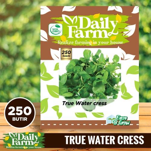 Gambar DF benih selada air TRUE WATER CRESS 250 butir import daily farm dari Newtokotani99 undefined Tokopedia