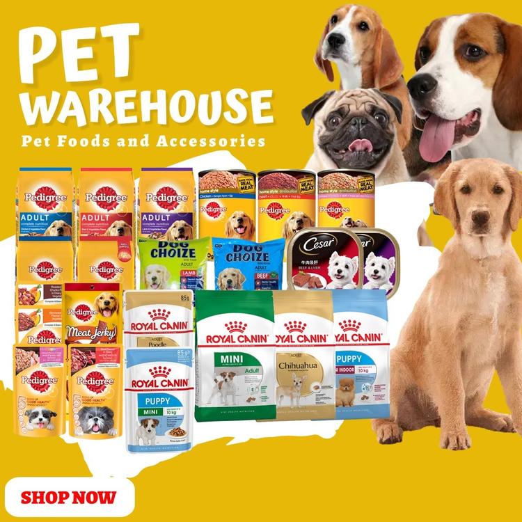 dog warehouse