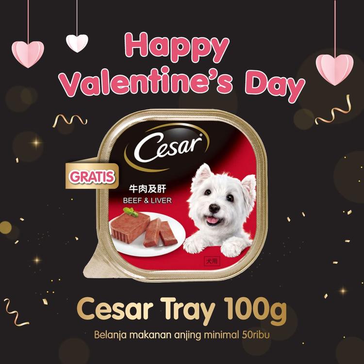 Toko Pet Shop Semarang Online Produk Lengkap & Harga Terbaik Tokopedia