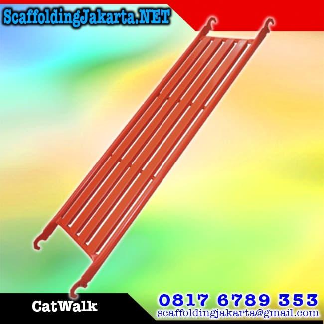cat walk scaffolding