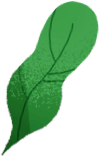 leaf-img-right