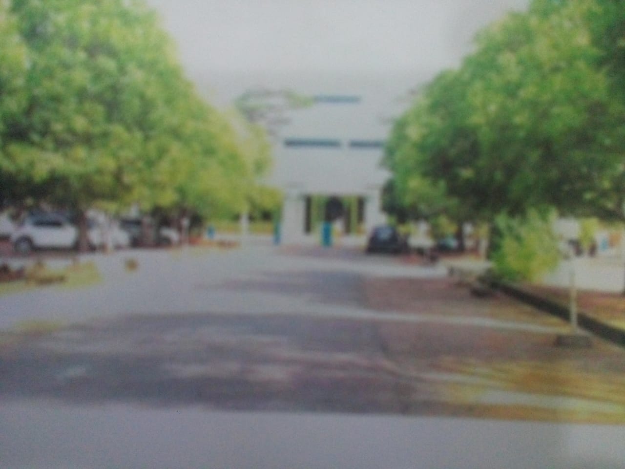 Masjid AL-MANAR